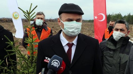 EDİRNE - Geçen yıl yanan alanlara 170 bin fidan dikildi