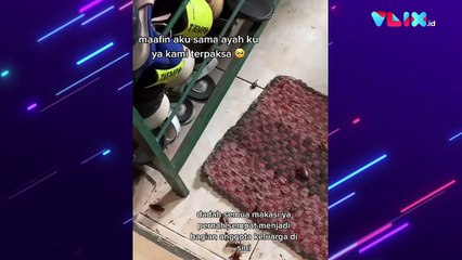 Ratusan Kecoak Muncul Saat Bersih-bersih Dapur