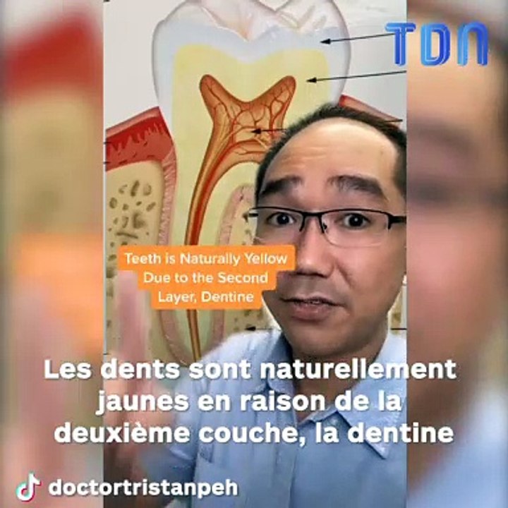 Un dentiste nous explique pourquoi nous avons les dents jaunes !