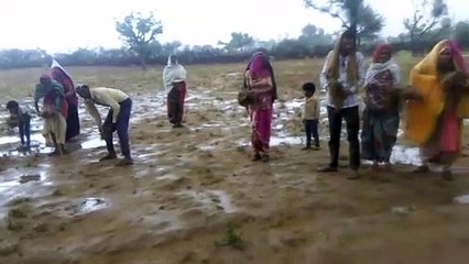 मौसम की अस्थिरता से फसलों के नुकसान की आशंका, 72 घंटे में बीमा कम्पनी को दें सूचना