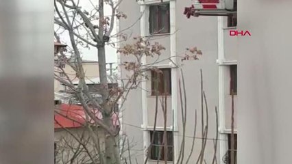 IĞDIR Köpeklerden kaçarken, çıktığı ağaçta kalan kediyi itfaiyeciler kurtardı