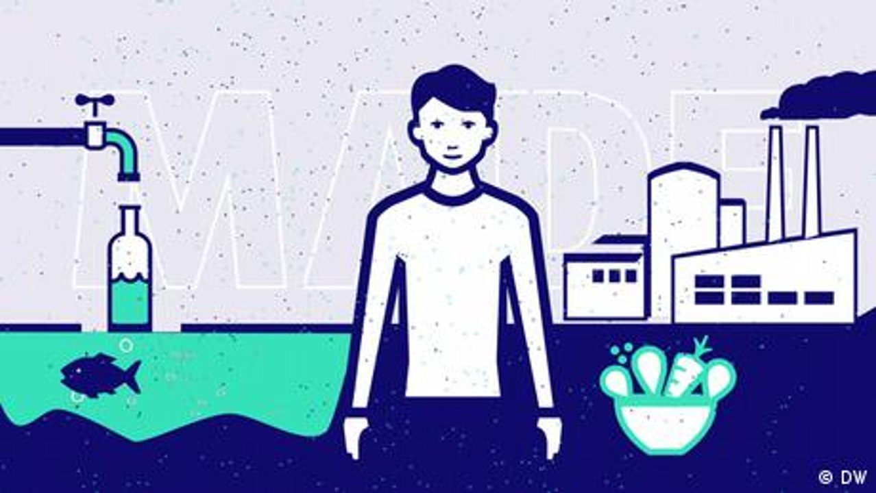 Fakten: Sie und das Plastik