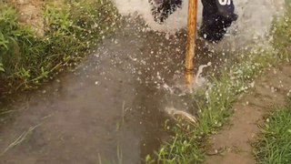 Best Boiled Fishing Video In Bangladesh  Best Amazing Catching Boilled Fishing Hand