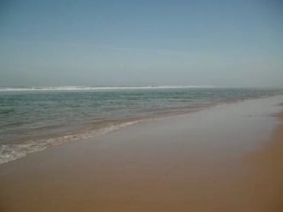 Plage biscarosse 25 fevrier 2008 018