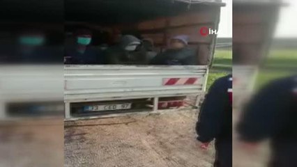 Son dakika haber! Kamyonetle balık istifi yolculuk kamerada