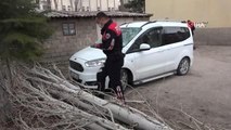 Şiddetli fırtınada ağaç otomobilin üzerine devrildi