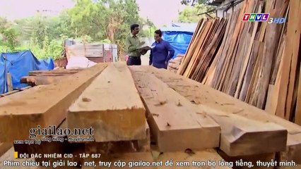 đội đặc nhiệm cid tập 687 - phim thvl3 long tieng tron bo - xem phim doi dac nhiem cid tap 688