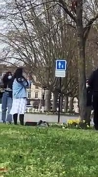 Des passants se mobilisent pour sauver un chat à Bordeaux