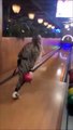 Elle fait n'importe quoi au bowling et se retrouve avec la boule entre les jambes
