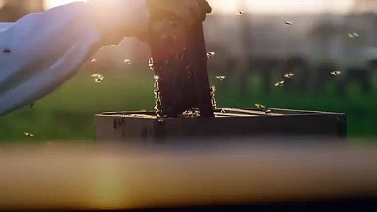 مسلسل لعبة نيوتن - رمضان 2021