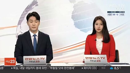 음주사고 내고 도주'…현역 육군 간부 덜미