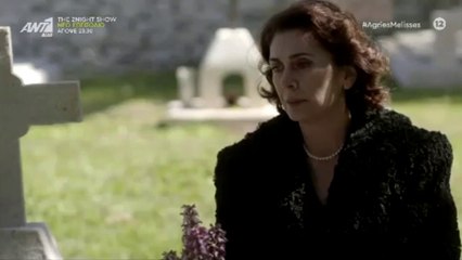 ΤΗΝ ΑΛΗΘΕΙΑ ΠΟΥ ΠΡΕΠΕΙ ΣΤΟΥΣ ΝΕΚΡΟΥΣ!!! Άγριες Μέλισσες