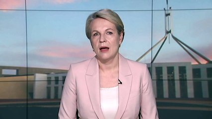 Labor says PM's remarks undermine efforts for change