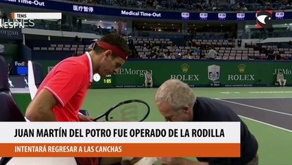 Juan Martin del Potro fue operado de la rodilla