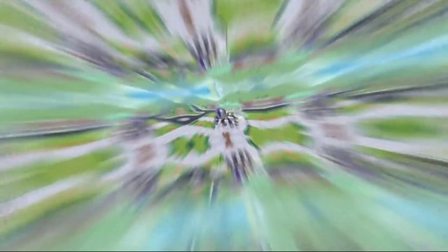 Patrulha canina em português - Os Super Filhotes em Ação Episodio 01