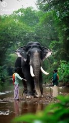 Anandhu Anu