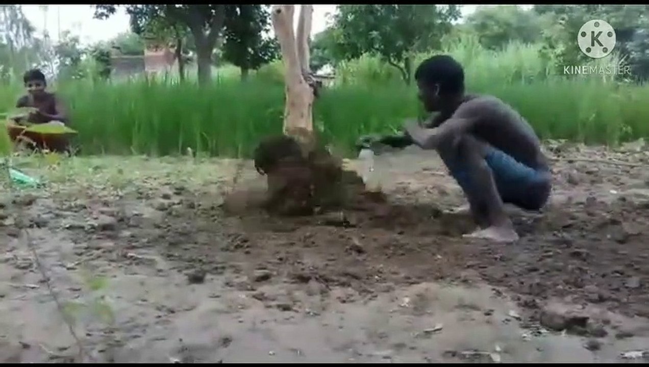 Comedy video New|  3 friends on the jungle funny scene.
