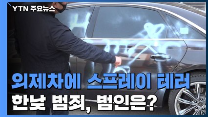 대낮 주택가 외제 차에 스프레이 테러...도대체 누가? / YTN