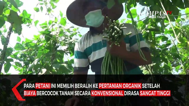 Siasati Mahalnya Harga, Petani di Blitar Beralih ke Pupuk Organik