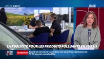 Dupin Quotidien : La publicité pour les produits polluants en sursis - 24/03