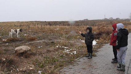 Hemşire, köpeklerle oynayan 3 çocuğu tırmıkla darbetti