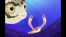 WILD KRATTS What is that! AWESOME Creatures