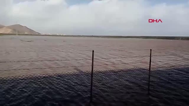 MUŞ Muş'ta kaz çiftliği suya gömüldü