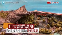 巨大貓貓現身 微縮模型中探險帶來福氣