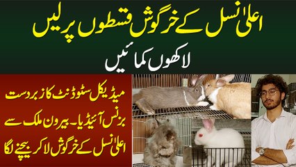 Aala Nasal Ke Rabbits Qiston Per Le Kar Lakhon Kamayen - Medical Student Ka Best Business Idea