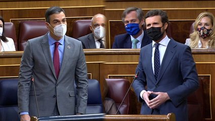 Sánchez, a Casado: "Usted insulta de tal manera que al final sus diputados ven barra libre"