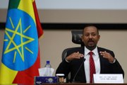 Ethiopia PM admits Eritrean soldiers entered Tigray region