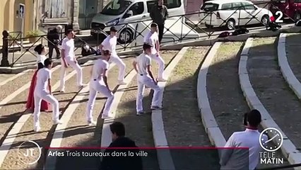 Arles : trois taureaux s’échappent, une femme blessée