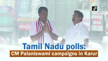 Tamil Nadu polls: CM Palaniswami campaigns in Karur