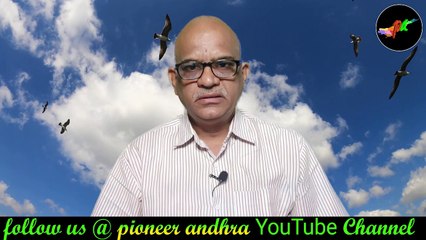 Amur-Falcon-A-Rare-Bird-Travels-29000Km-for-food