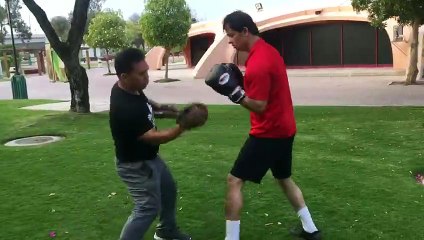 boxing speed mitts