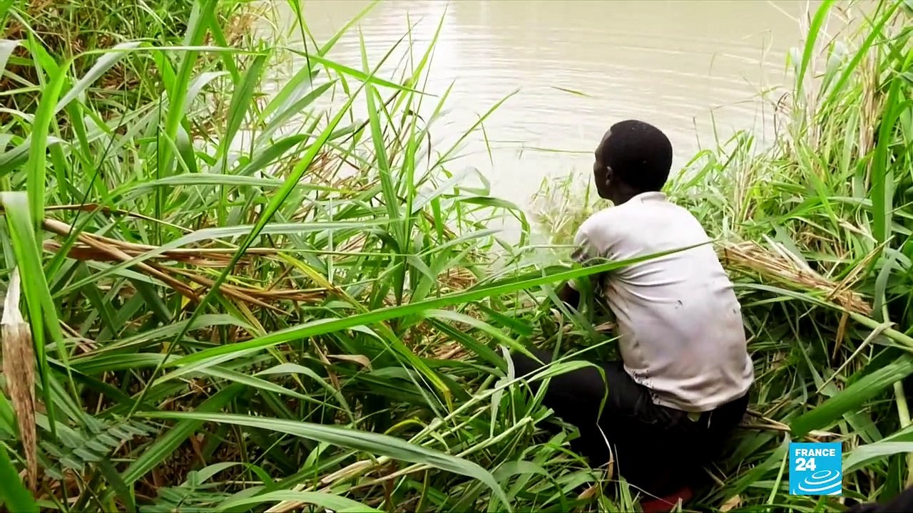 Cameroon - Environment: Hippos endangered by polluted waters due to mining