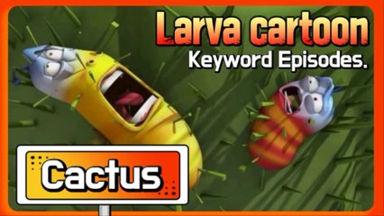 KEYWORD CARTOON | Cactus | Larva Official Channel | Best animation