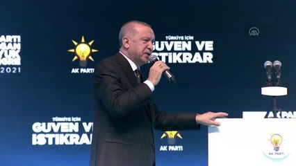Cumhurbaşkanı Erdoğan: "Tüm terör örgütlerini hezimete uğratarak ülkemiz sınırları içinde eylem yapamaz hale getirdik"