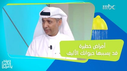 أخطر الأمراض التي قد تصيبك بسبب حيوانك الأليف!