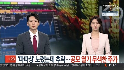 '따따상' 노렸는데 추락…공모 열기 무색한 주가