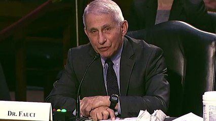 Rand Paul smaschera Fauci  La smetta di fare teatro