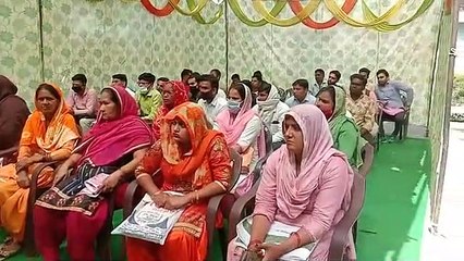 Download Video: शामली प्रदेश सरकार के 4 वर्ष पूर्ण होने पर कांधला विकासखंड प्रांगण में रोजगार मेले का आयोजन