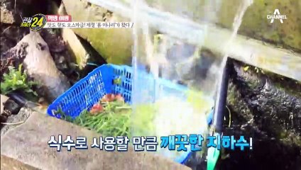 1년에 '딱 한 철'만 즐길 수 있는 맛있는 성찬★