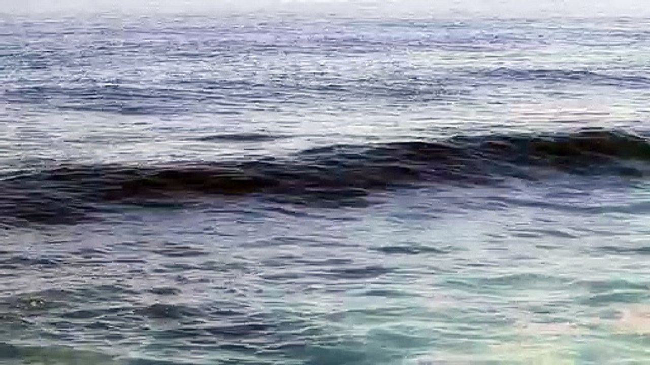 Ocean waves Blue
