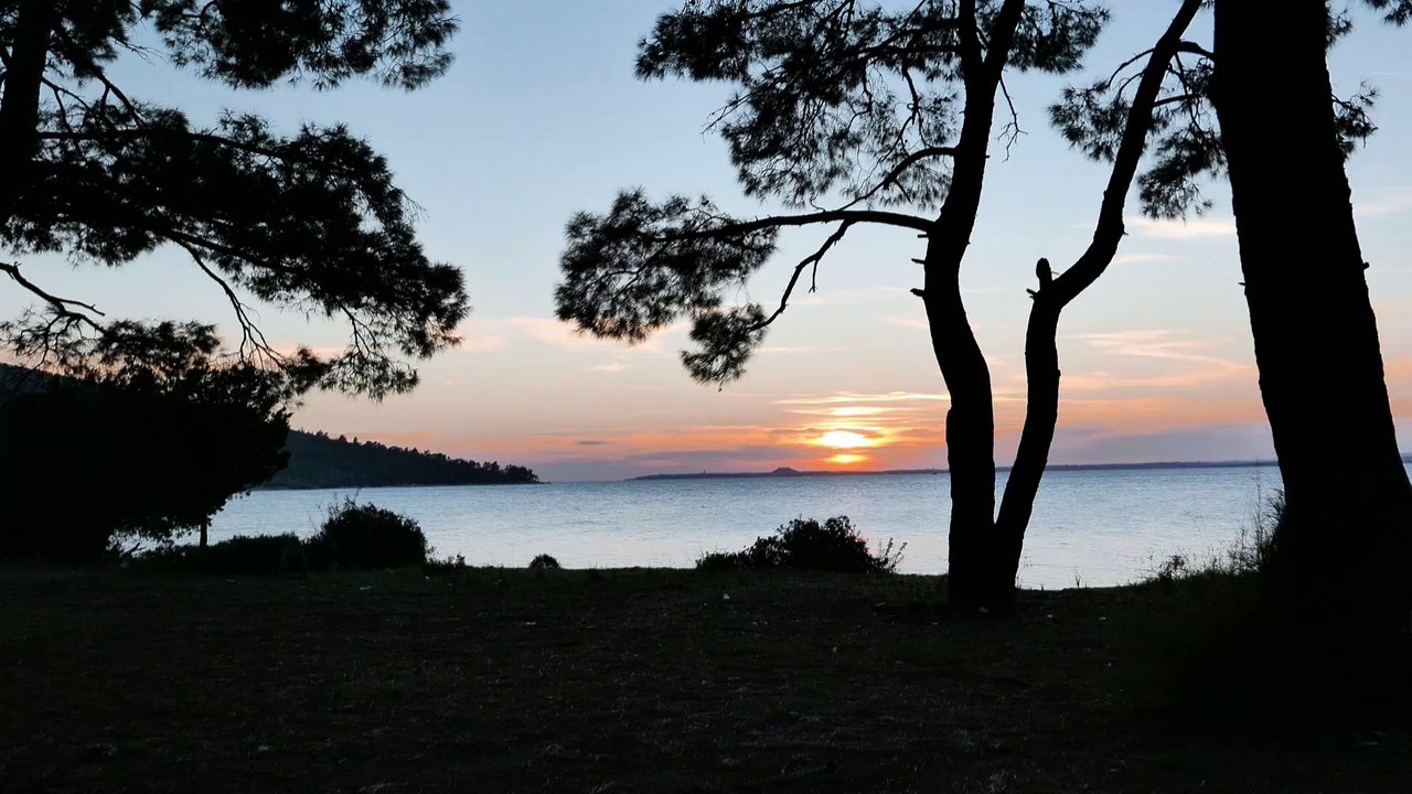 Birdsong. Listen to the sound of nature, perfect for sleep, relax, read and meditate.