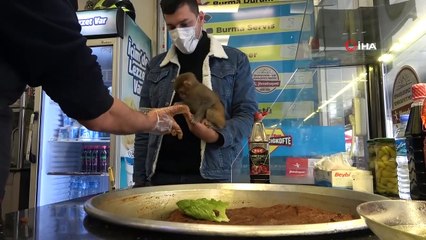 Bu Maymun Muz Yerine Acı Çiğköfte Yiyor