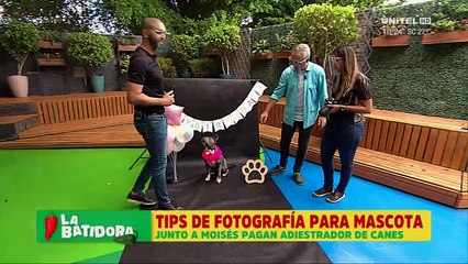 Tips para poder lograr una buena fotografía de nuestra mascota