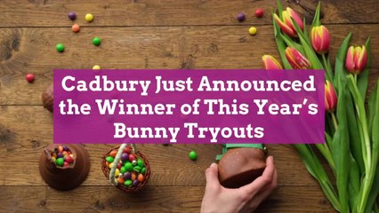 Cadbury Just Announced the Winner of This Year’s Bunny Tryouts
