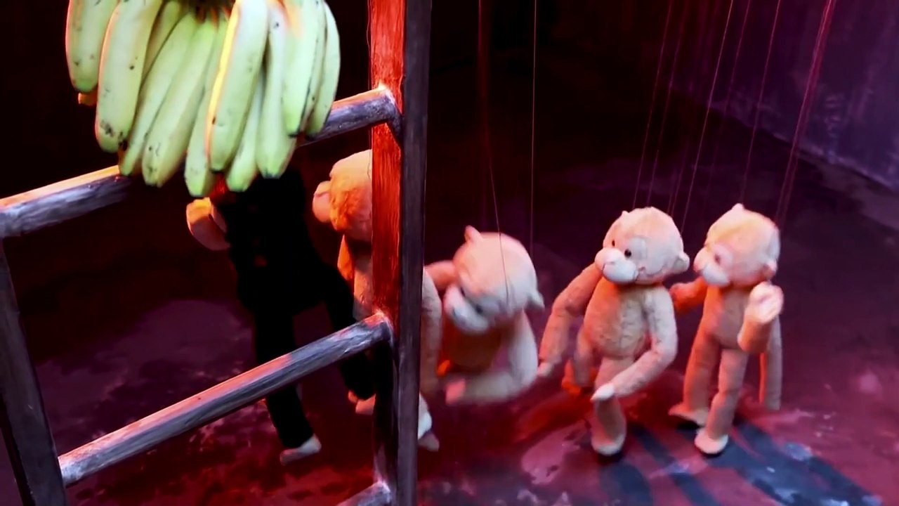 Don't Act Like Everyone Else!!