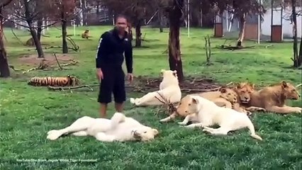 Kaplan sahibini korumak için öyle bir şey yaptı ki!